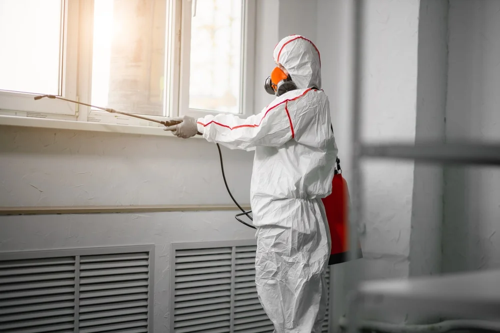 Professional mold remediation services in Chesterfield, NH
